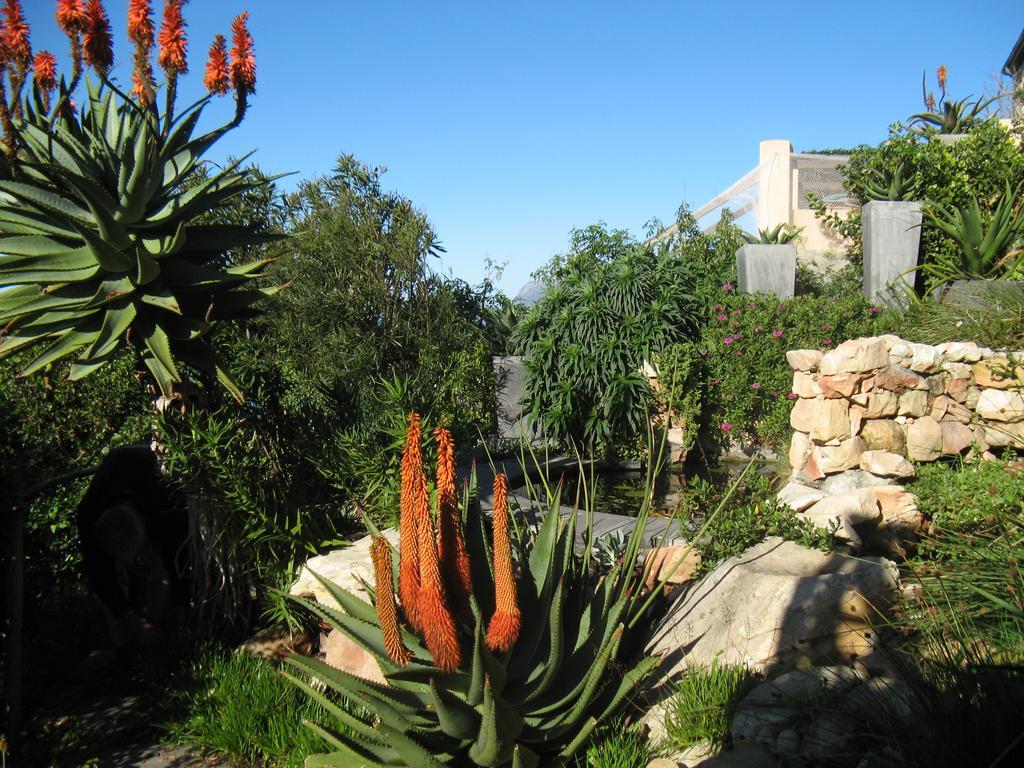 Seaview Apartment In Muizenberg Esterno foto