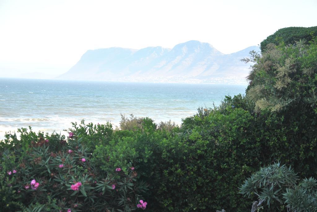 Seaview Apartment In Muizenberg Esterno foto